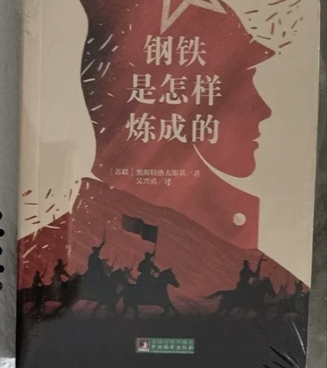 实体店清仓 全新正版《钢铁是怎样炼成的》经...