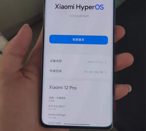 小米12Pro 8+256 一直贴膜带壳使...