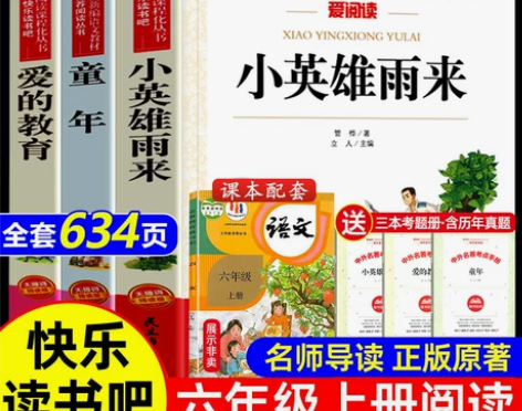 送考点手册爱的教育小英雄雨来童年书全3册童...