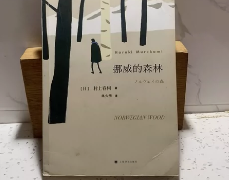 正版二手挪威的森林 村上春树的残酷青春物语...