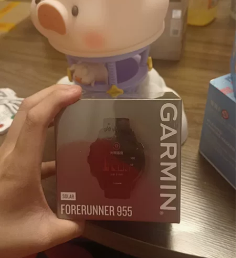 佳明（GARMIN）Forerunner9...