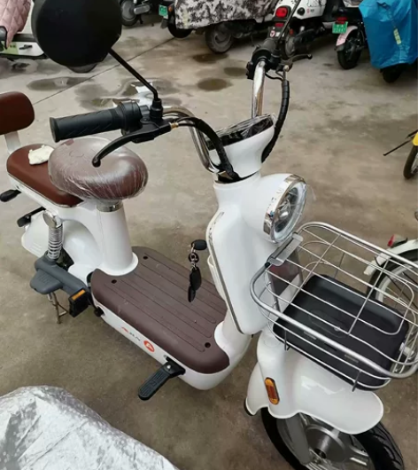 全新电动车，低价处理，车架飞鸽牌子，四块电...