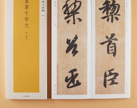 ?日本原版 二玄社字帖 精选扩大法帖6 真...