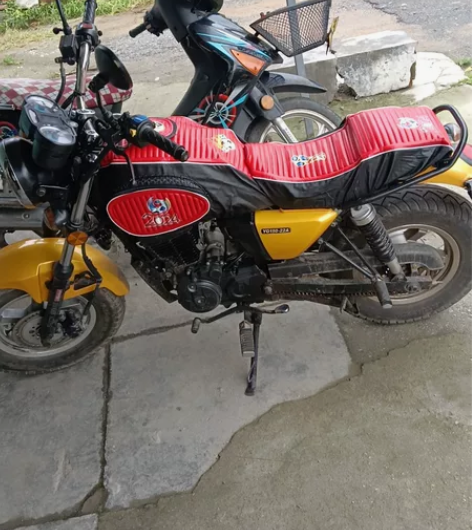 银刚小迷你150       2000就卖...