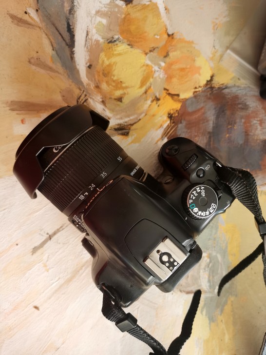 佳能450D套机 18/55镜头  成新不...