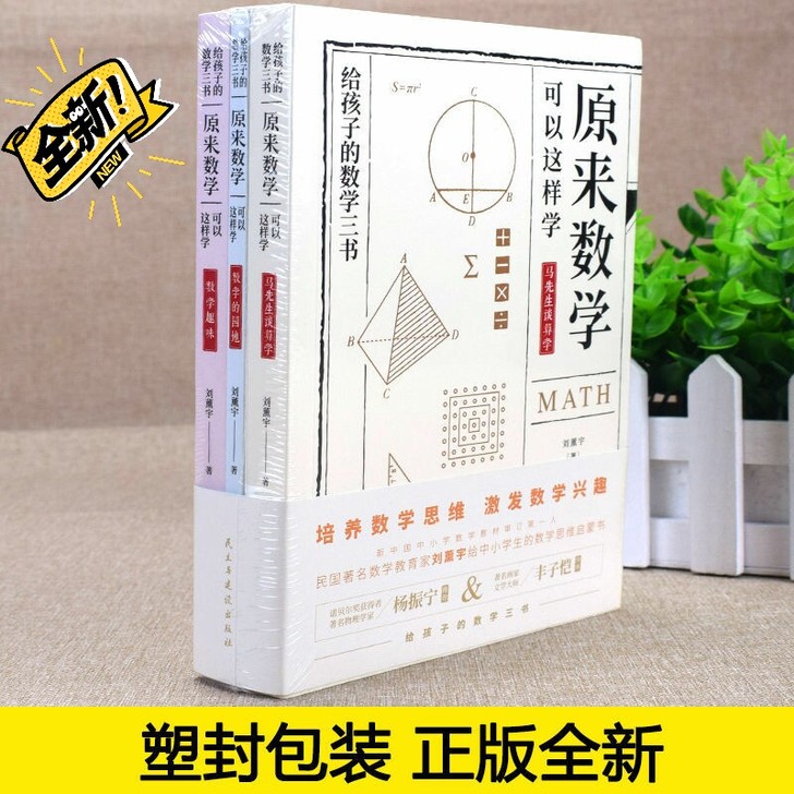 全3册原来数学可以这样学给孩子的数学三书刘...