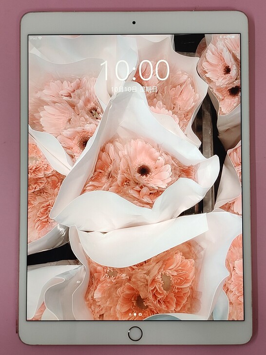 17款64g 4G版玫瑰金色iPad pr...