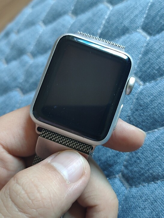 苹果一代38mm 没有充电器 自用的 成色...