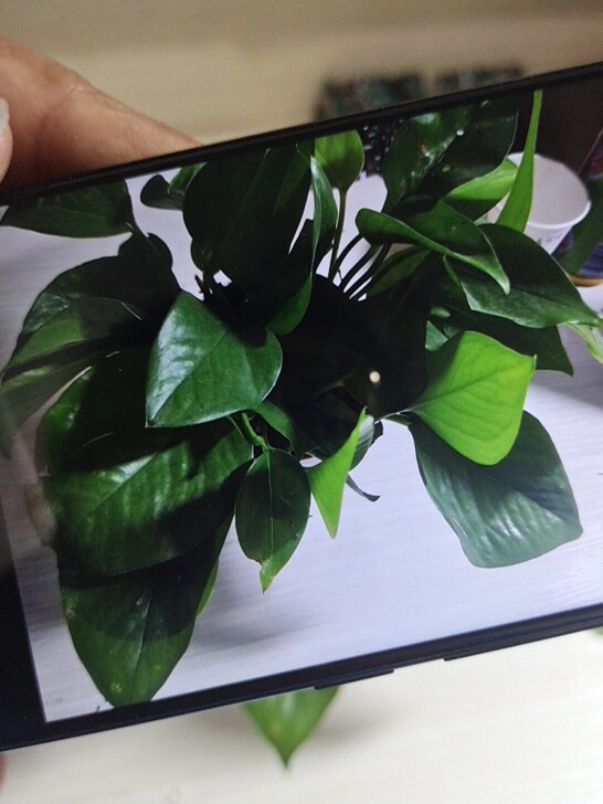 vivo X21A全面屏6+128G全网通...