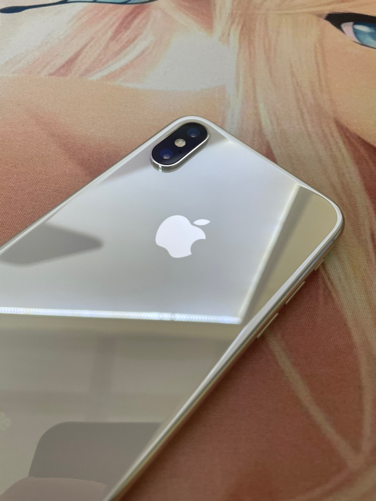 iPhoneX 256G 银白色 外观成色...