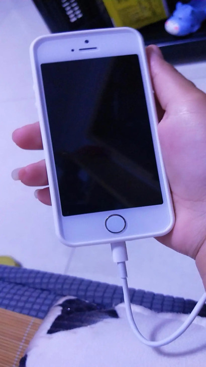 品牌型号 ：苹果5s，移动4g(或联通4g...