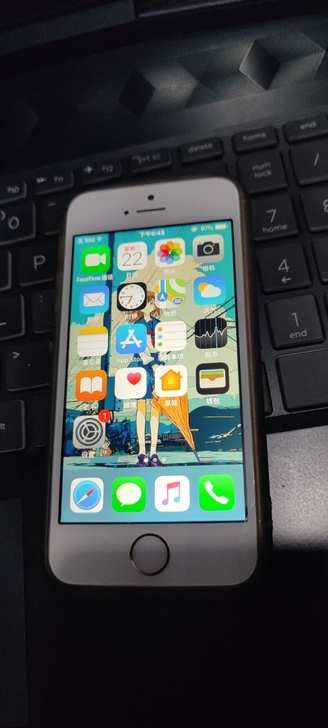 自用5s16G金色5s，自定义伊拉克成色[...