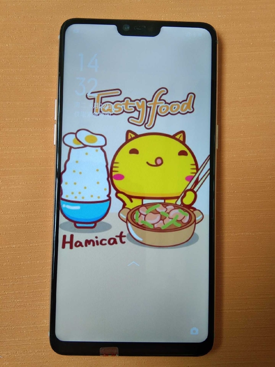 手机OPPO  R15   雪盈白  95...