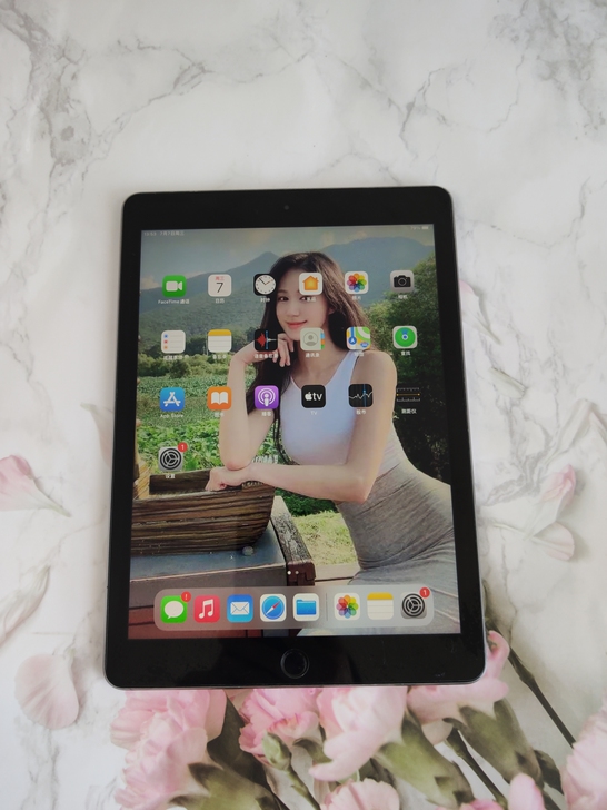 捡漏机 iPad Pro9.7寸，256g...