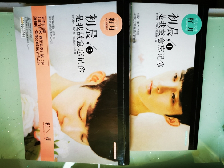 初晨是我故意忘记你二手书籍