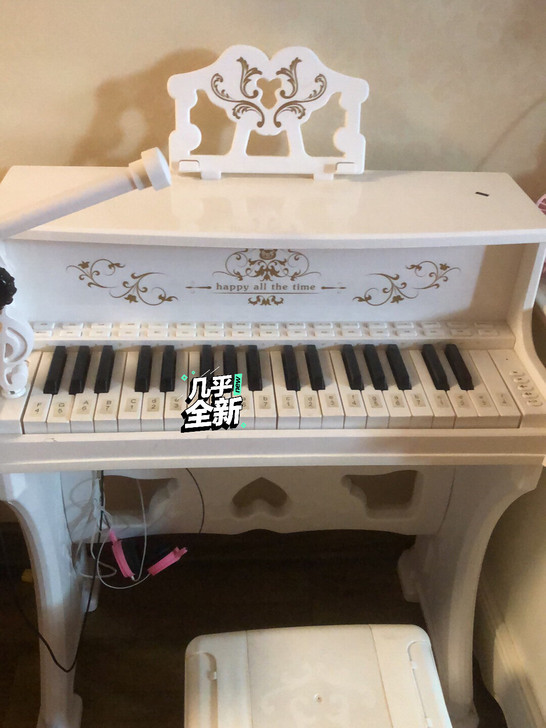 品牌型号 ：贝多芬牌电子钢琴