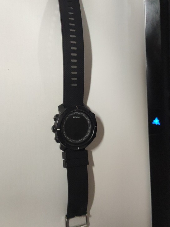 博之轮w30，挺新的，有一个手表，充电线，...