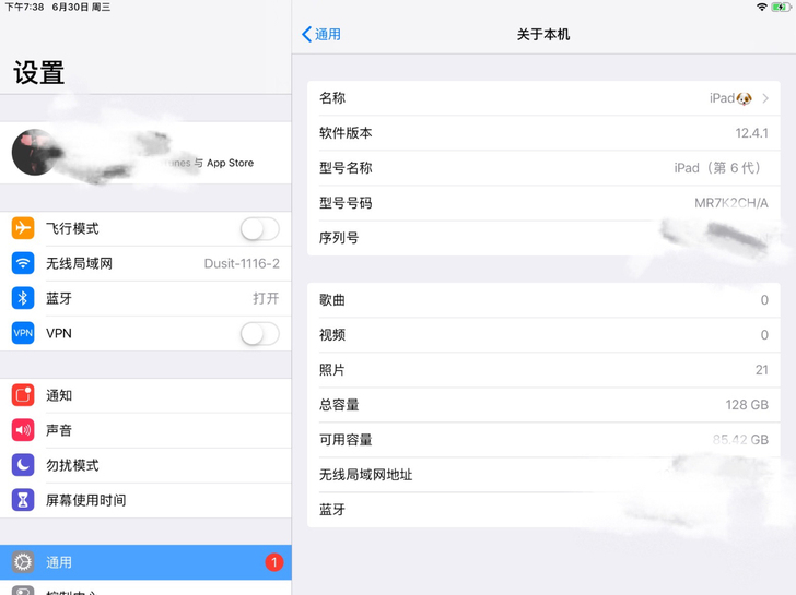 自用iPad 第6代 iOS 12.4.1
