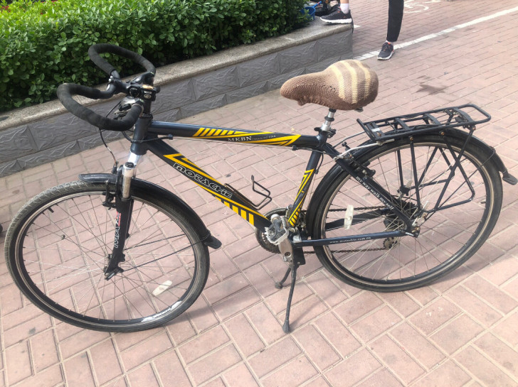 旅行车 变速自行车