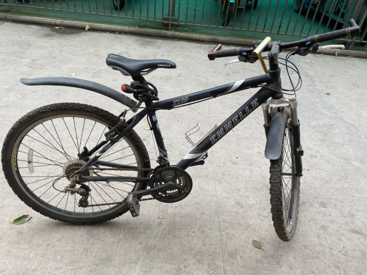 阿米尼山地自行车，3000多买回来的，几乎...