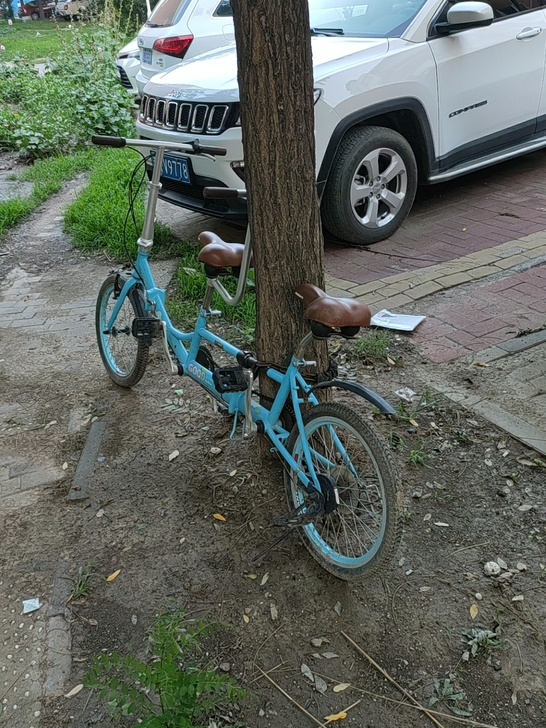 双人骑行自行车，出口韩国的，朋友送的便宜出...