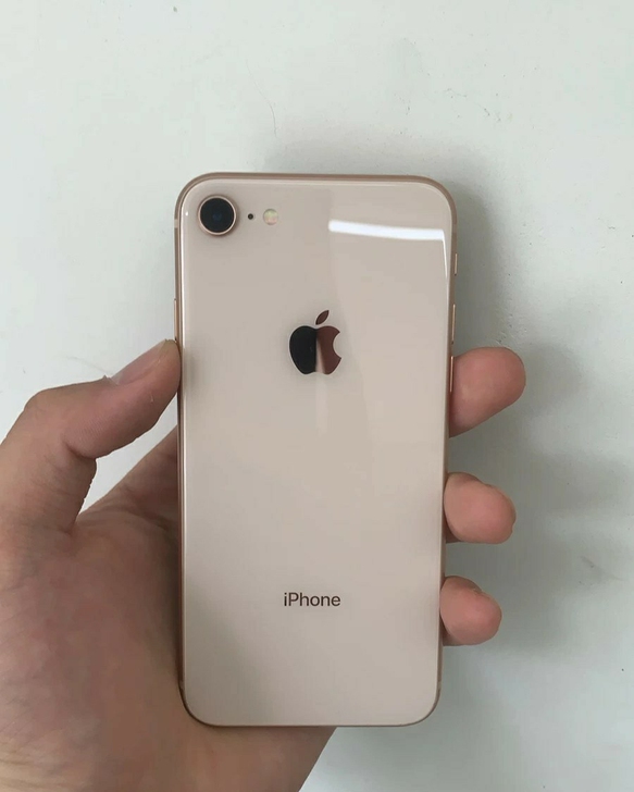 256G闲置iPhone8带指纹、功能全好...