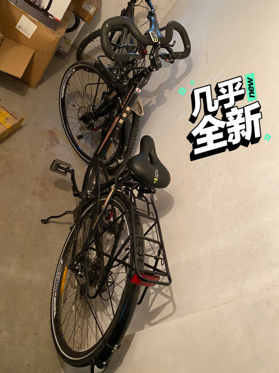 永久旅行车，自行车，通勤（近期人在外地无法...