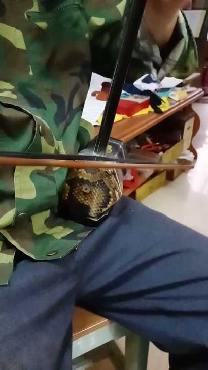 敦煌牌二胡，大牌子，品质有保证，分量十足，...