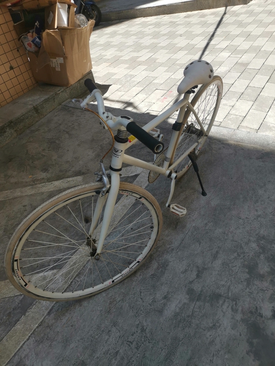 威尔斯特死飞自行车，26寸，成色一般看图。...