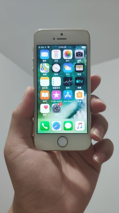 苹果5s iPhone电信定制a1533