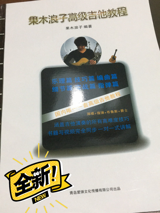 果木浪子中高级吉他教程