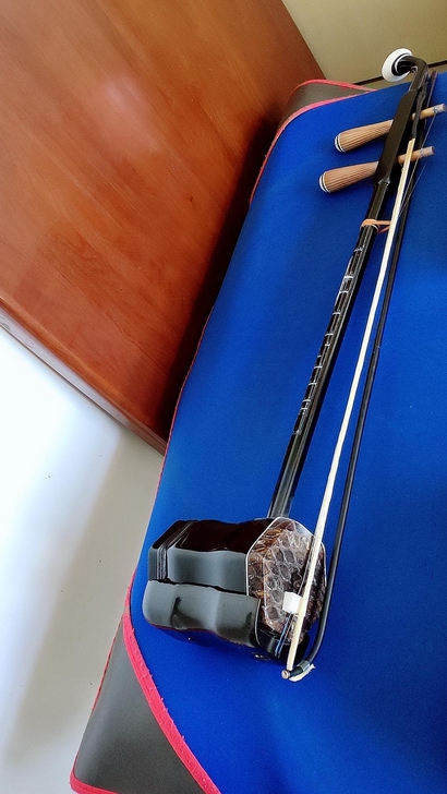 苏州二胡民族乐器适合新手入门练手，9.9新。