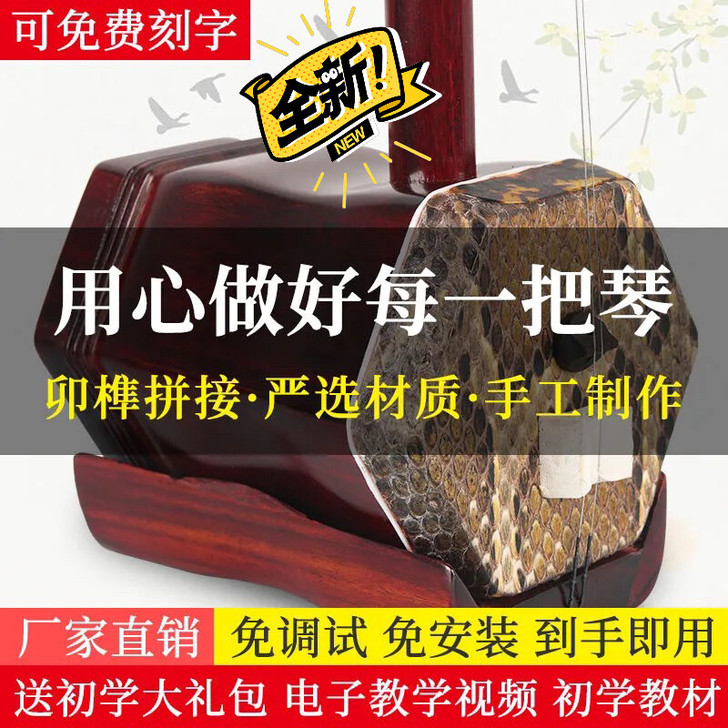 二胡乐器初学者入门成人儿童学习考级二胡琴弦...
