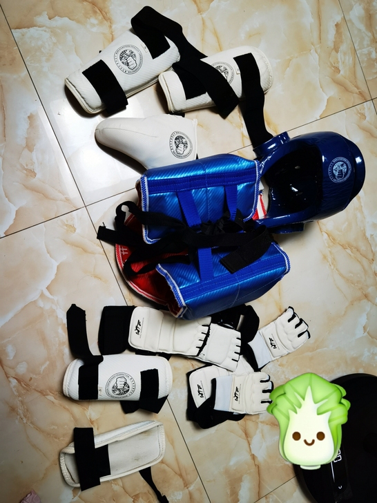 跆拳道全套护具8件套，2号，含包。凑合着用...