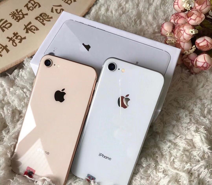 256G闲置iPhone8带指纹、功能全好...