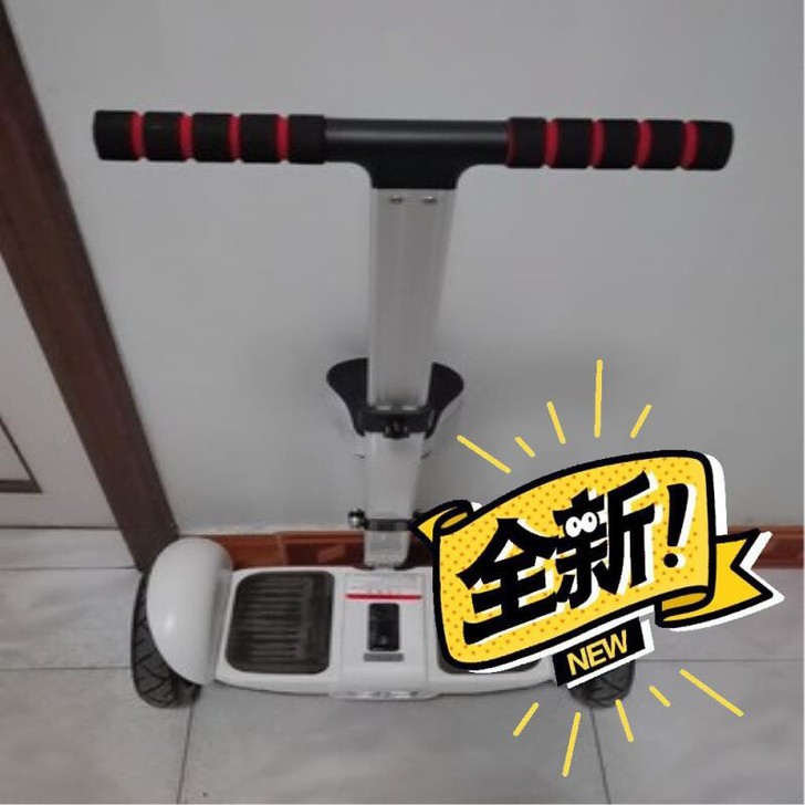 柏思图智能电动双轮平衡车儿童成年新款带扶杆...