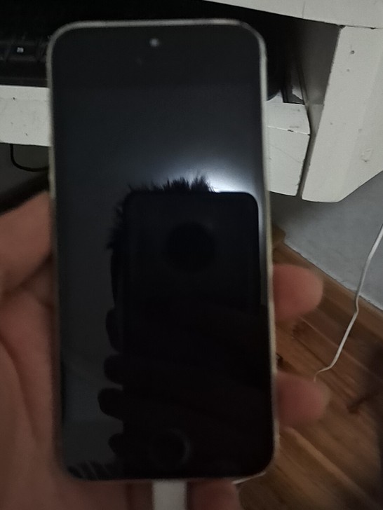 苹果5s，可以谈价格