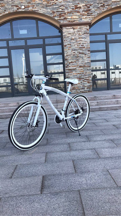 包邮 宝马 全新正品组装，宝马/26寸/男...