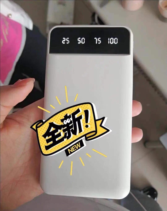 亏本处理20000充电宝的  一个19.9...