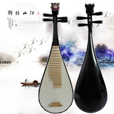 琵琶乐器 花梨木琵琶 鸡翅木花梨贝雕儿童初...