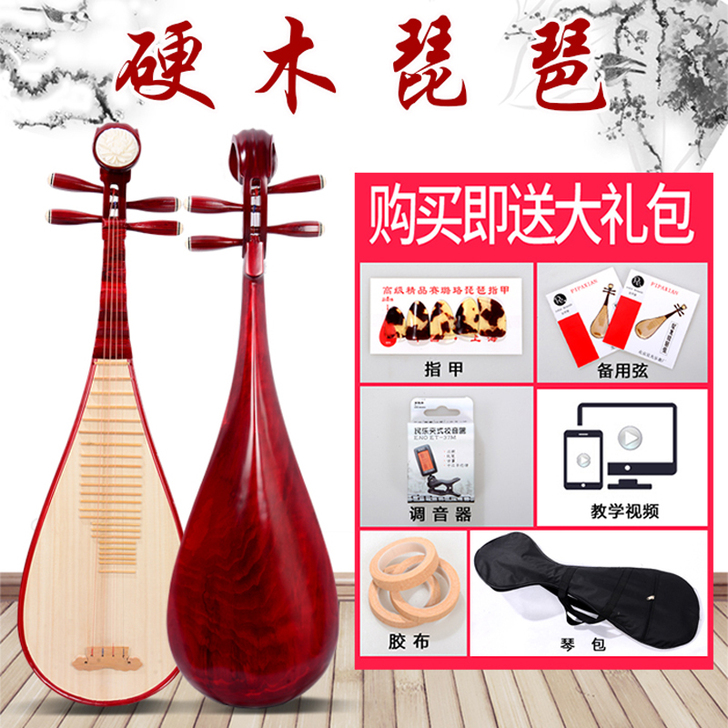全新琵琶乐器成人 儿童初学者入门练习琵琶 ...