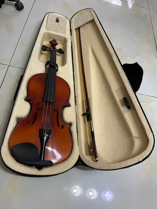 音艺小提琴，搬家转卖，同城自提100元。几...