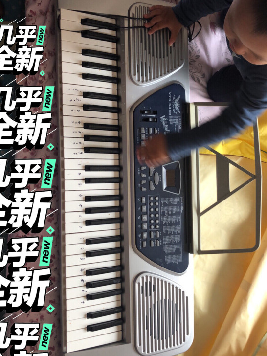 电子琴100块钱，全新。顺路给送