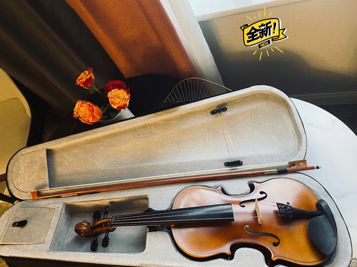 全新！全新专业级4/4小提琴   拿货价5...