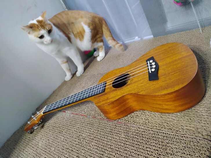 亏本出原价399桃花芯木尤克里里23寸送配...