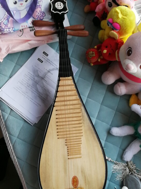 女儿换了专业的大琵琶，初学琵琶6岁及以上适...