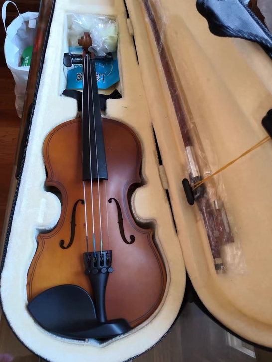 琴行甩卖，全新小提琴便宜出售。
