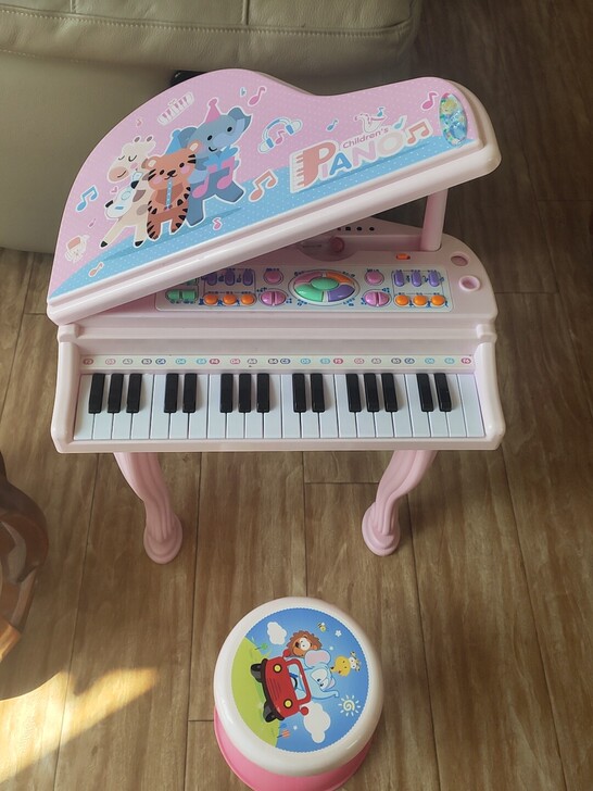买电子琴送全新马桶坐垫《图四》儿童电子琴，...
