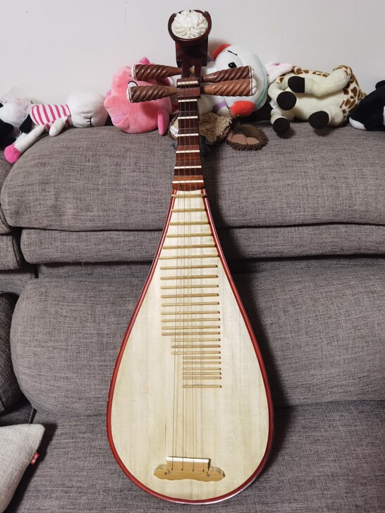 小号琵琶，适合入门的娃用，19年10月孩子...