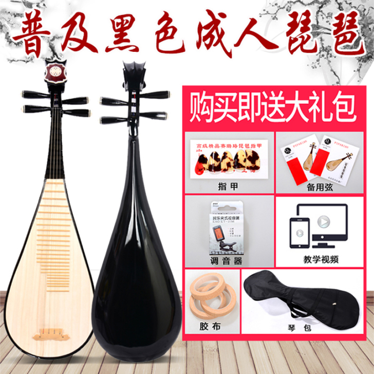 琵琶乐器成人 儿童初学者入门练习琵琶 考级...
